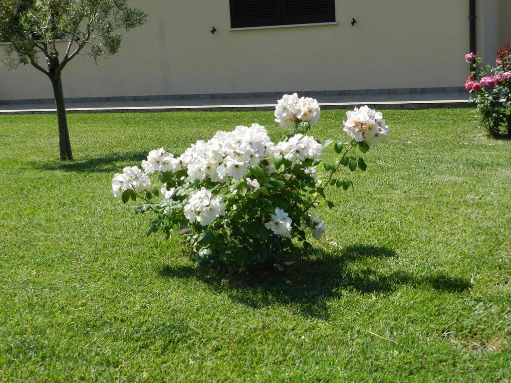 Agriturismo Severini Fonteblanda Extérieur photo