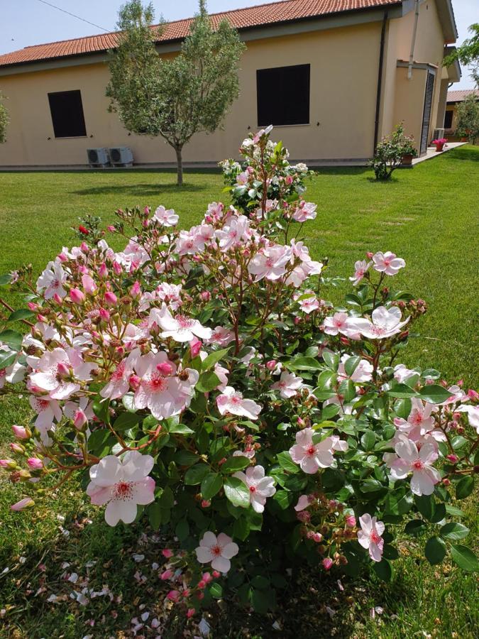 Agriturismo Severini Fonteblanda Extérieur photo
