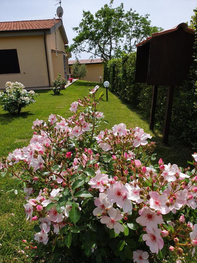 Agriturismo Severini Fonteblanda Extérieur photo